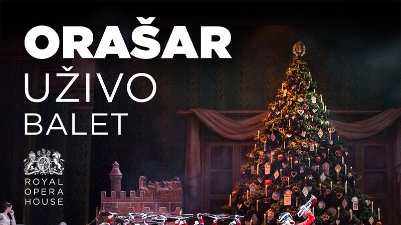 Orašar u Cinestaru
